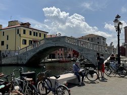 IMG_0529.jpeg