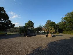 20240607_193416547.JPG