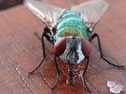 FB_IMG_1717817567374.jpg FB_IMG_1717817567374.jpg