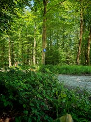 IMG_20240608_131703.jpg