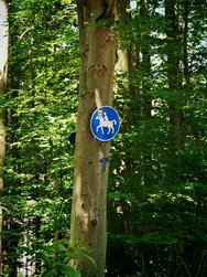 IMG_20240608_131707.jpg