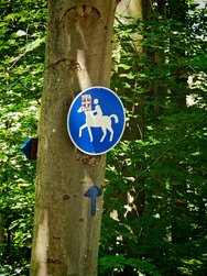 IMG_20240608_131715.jpg