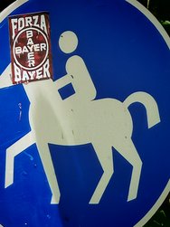 IMG_20240608_131732.jpg
