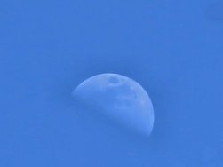 20240515_145552.jpg