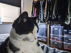 IMG_20240608_091447.jpg