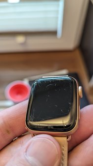 PXL_20240608_124756106.jpg