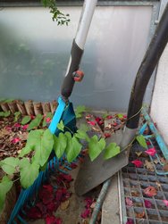 20240609_115116618.JPG
