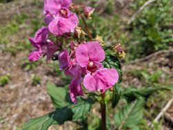 PXL_20240609_092417951.jpg