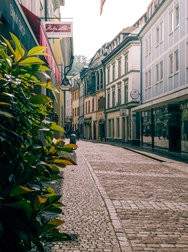 20240609_101815422-Verbessert-RR.jpg