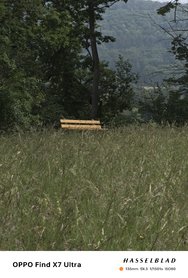 IMG20240609163217.jpg
