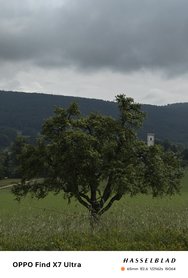 IMG20240609161446.jpg
