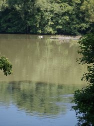 IMG20240608100418.jpg