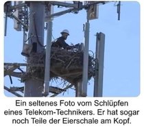 s0uszl9080la1.jpg