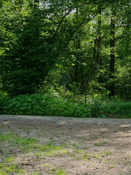 IMG_20240609_2.5x.jpg