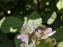 IMG_20240609_144140.jpg