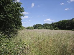 IMG_20240609_143144.jpg