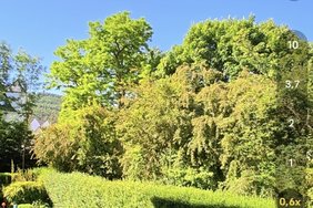 IMG_20240609_094905.jpg