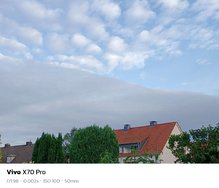 sukashi_20240610_062115.jpg