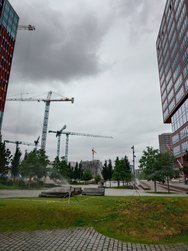 20240610_133622686.JPG