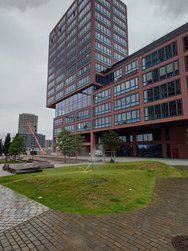 20240610_133553281.JPG