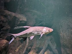 PXL_20240609_134747368.jpg