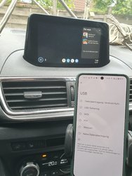 a1.jpg