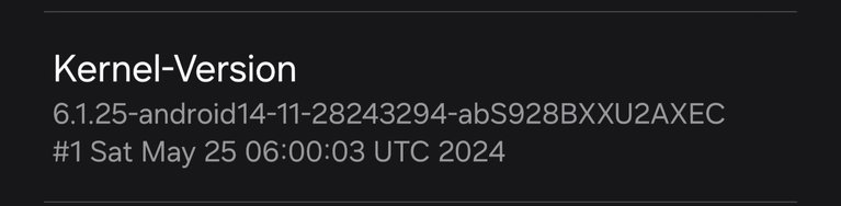 Screenshot_20240611_165802_Settings.jpg