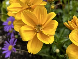 IMG_4878.jpeg