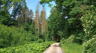 IMG_20240606_110423534_HDR.jpg