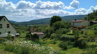 IMG_20240611_112346326_HDR.jpg