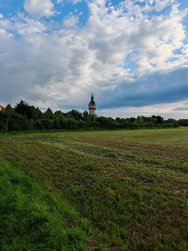 IMG_20240612_1x.jpg