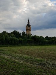 IMG_20240612_2.5x.jpg
