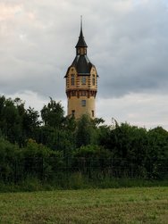 IMG_20240612_5x.jpg