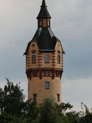 IMG_20240612_10x.jpg