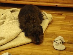 IMG_20240612_215555.jpg
