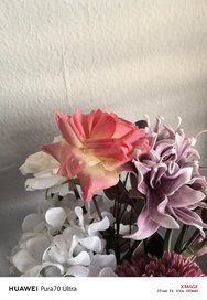 IMG_20240613_195622.jpg