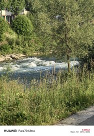 IMG_20240613_191428.jpg