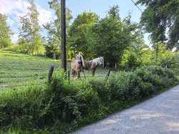IMG_20240609_190214.jpg