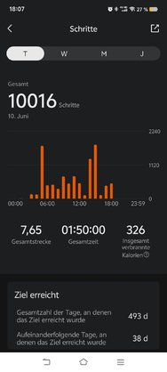 Schritte_Zepp_06_10.jpg