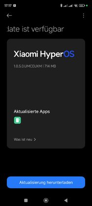 Screenshot_2024-06-14-17-17-49-143_com.android.updater.jpg
