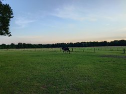20230706_210245.JPG