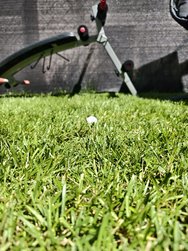 IMG_20240615_114615.jpg