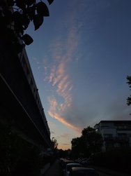 20240615_214931288.JPG