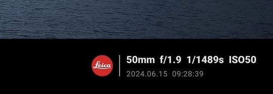 448339746_10160464171578845_1366818075814942146_n.jpg