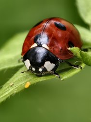 IMG_20240616_131711_754.jpg