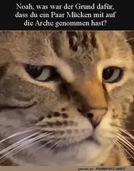 Gute_Frage.jpg