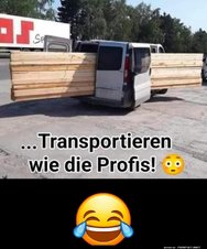 Profis.jpg