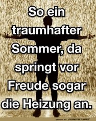 Traumhafter_Sommer.jpg