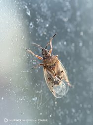 IMG_20240616_224528_783.jpg