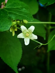IMG_20240616_183808.jpg